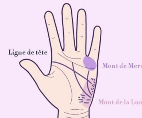 découvrez l'art de la chiromancie avec notre guide sur les lignes de la main. apprenez à interpréter les lignes de votre paume, leurs significations et comment elles peuvent révéler des aspects fascinants de votre personnalité et de votre avenir.