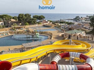 découvrez l'incroyable histoire d'une attaque de lion sur nardi, un témoin émerveillé par la puissance de la nature. plongez dans cet événement captivant où la faune sauvage se dévoile sous un nouveau jour.