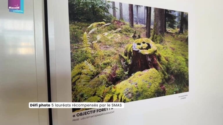 découvrez la maison de cristal 2025, un chef-d'œuvre architectural alliant modernité et transparence. plongez dans un univers où la lumière, l'espace et la nature se rencontrent pour créer un cadre de vie exceptionnel. explorez les innovations et les designs qui redéfinissent le concept de maison.