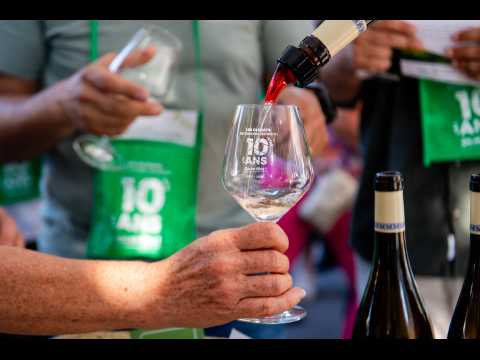 découvrez les dernières avancées et les bénéfices des projets intervilles, une initiative qui transforme nos déplacements urbains. suivez l'évolution des infrastructures et les innovations qui rendent nos trajets plus efficaces et durables.