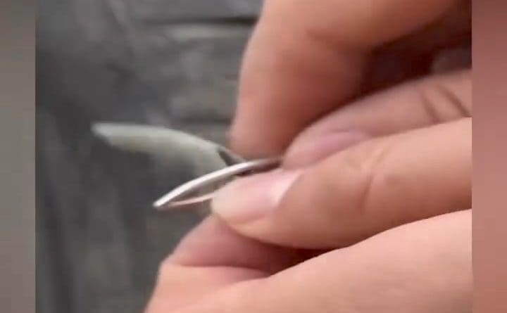 découvrez des secrets de famille troublants et des révélations surprenantes qui bouleversent les dynamiques familiales. plongez dans un récit fascinant où les liens du sang sont mis à l'épreuve, et où chaque révélation transforme la perception que l'on a de la famille.