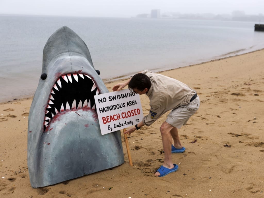 découvrez tout sur les attaques de requins : causes, prévention et conseils pour se protéger en mer. informez-vous sur les comportements des requins et restez en sécurité à la plage.