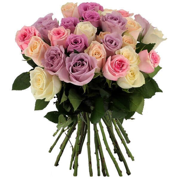 découvrez l'univers fascinant des couleurs des roses : des nuances symboliques aux significations profondes, apprenez à choisir la rose parfaite pour chaque occasion et éveillez vos sens aux merveilles de la nature.