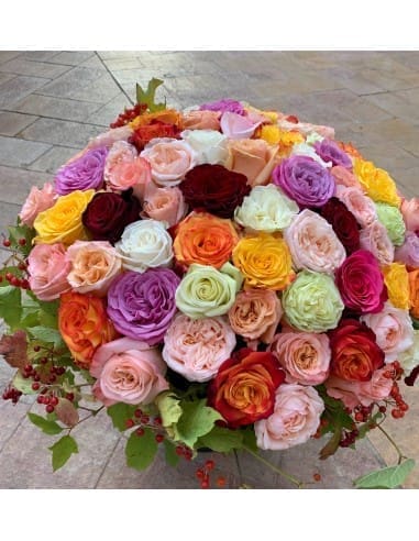 découvrez l'univers enchanteur des couleurs des roses, symboles d'amour et d'émotions. apprenez comment chaque teinte transmet un message unique et explorez les variétés qui embelliront vos jardins et bouquets.