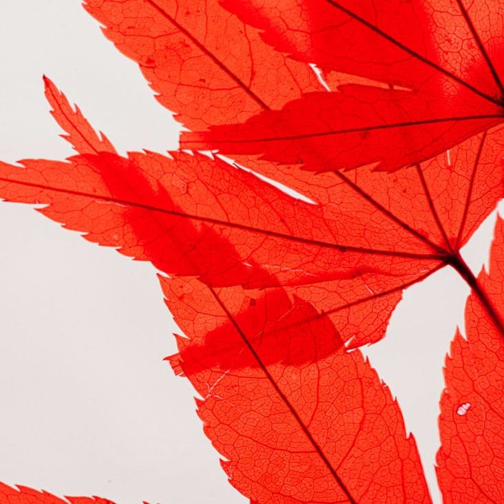 découvrez la signification de h23 en amour, son importance dans les relations amoureuses et comment interpréter ce symbole mystérieux pour mieux comprendre vos sentiments et ceux de votre partenaire.