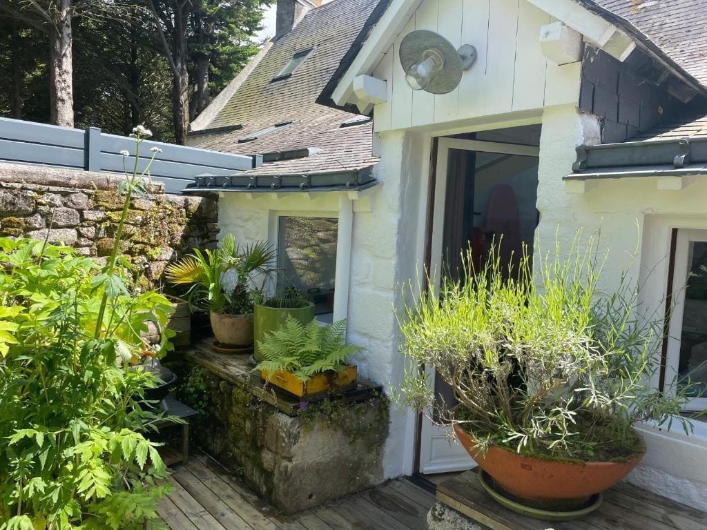 découvrez l'univers enchanteur du jardin secret, un espace de sérénité et de beauté, où chaque plante raconte une histoire. plongez dans cet oasis de tranquillité et laissez vos soucis s'envoler.