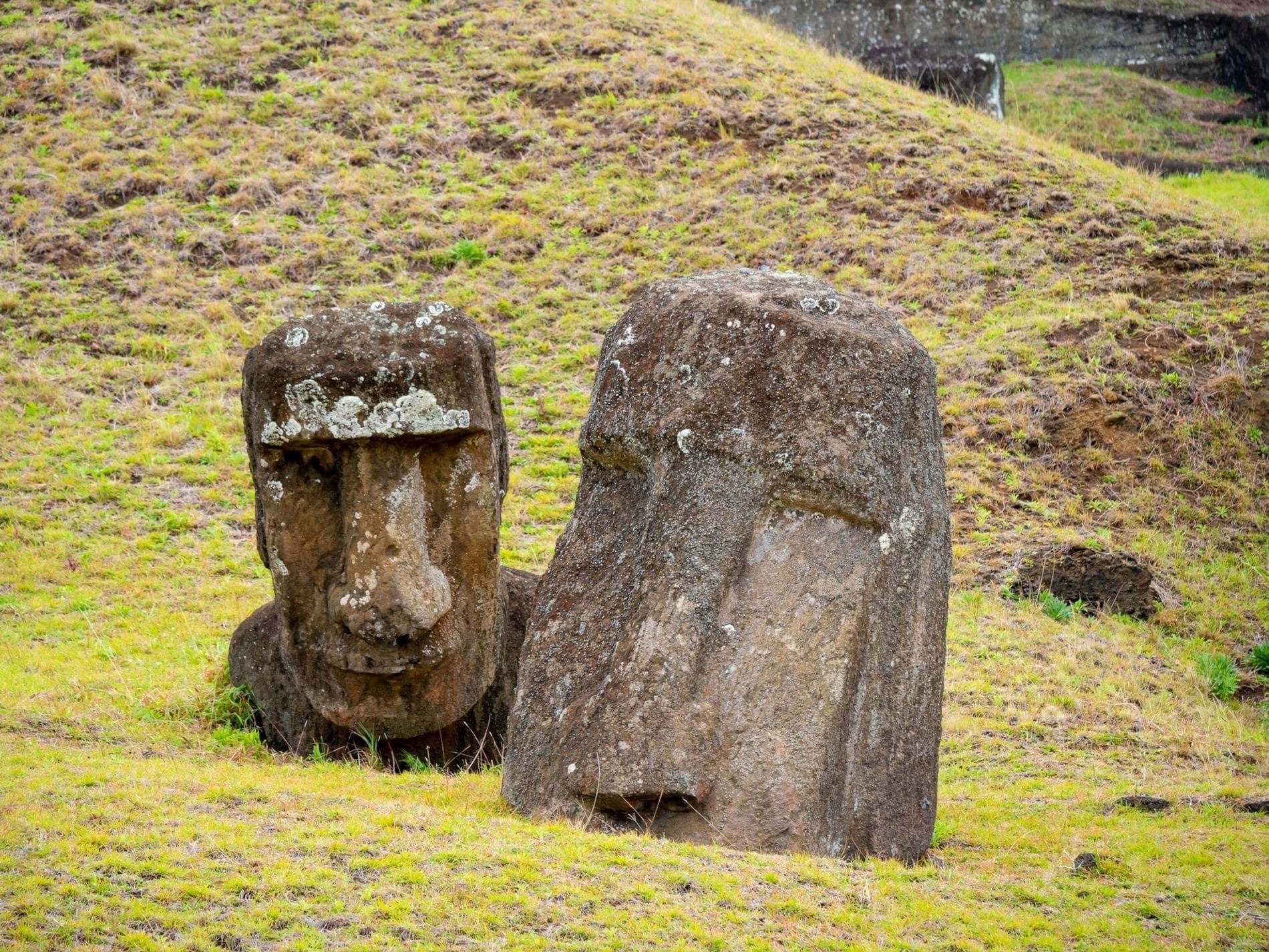 découvrez les mystérieuses statues de l'île de pâques, ces impressionnantes moai qui racontent l'histoire fascinante d'une civilisation ancienne. plongez dans la culture riche et les secrets de ce patrimoine mondial unique.