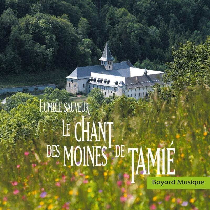 découvrez la puissance apaisante du chant sacré des moines : harmonies spirituelles, traditions ancestrales et méditation sonore pour l'âme.