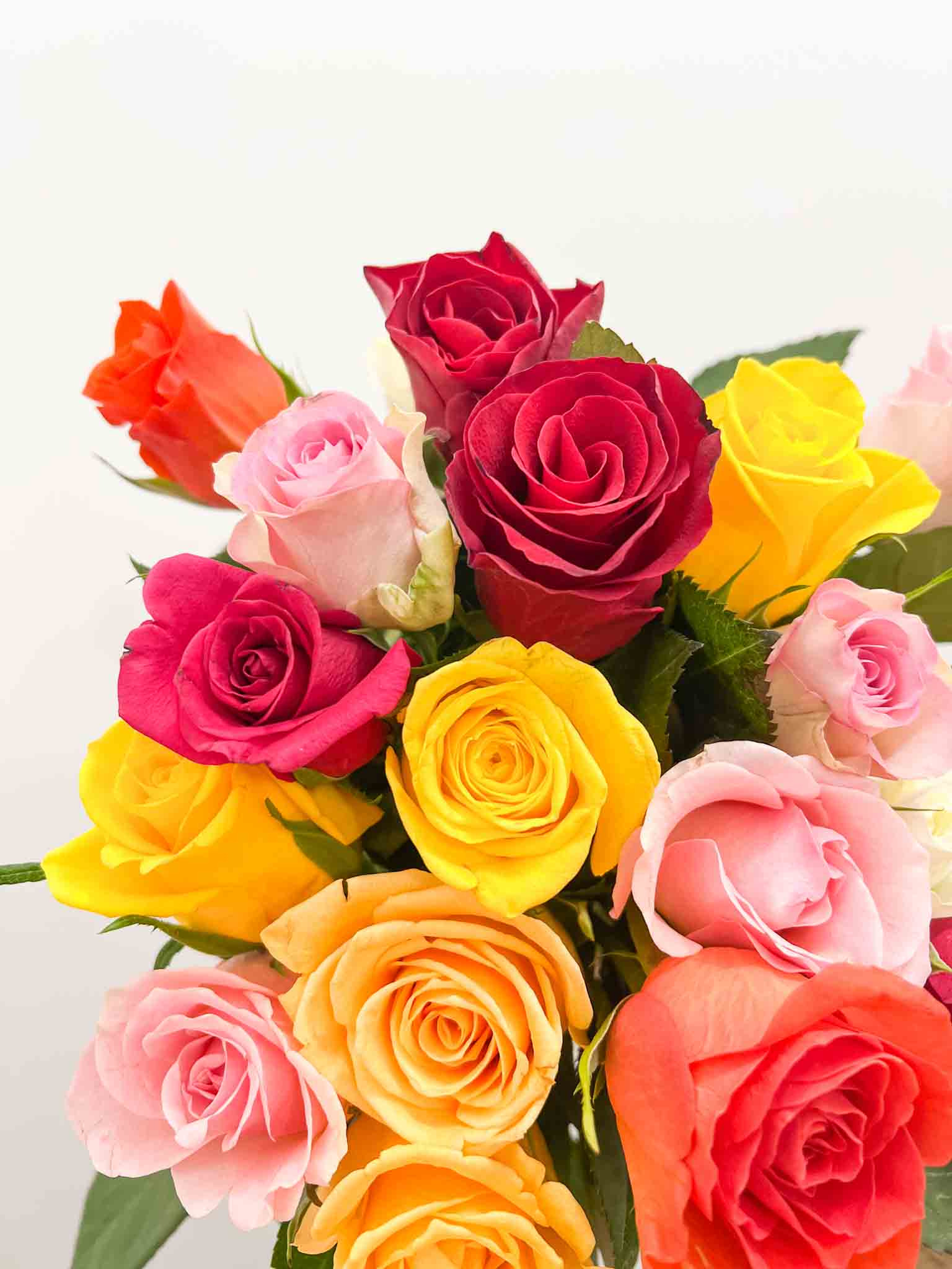 découvrez la signification et la symbolique des différentes couleurs des roses. apprenez à choisir la teinte idéale pour exprimer vos émotions ou transmettre un message particulier à travers ce guide des couleurs de roses.