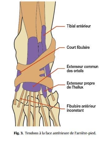découvrez les causes courantes de la douleur au pied, les symptômes à surveiller et les options de traitement pour soulager vos pieds au quotidien.