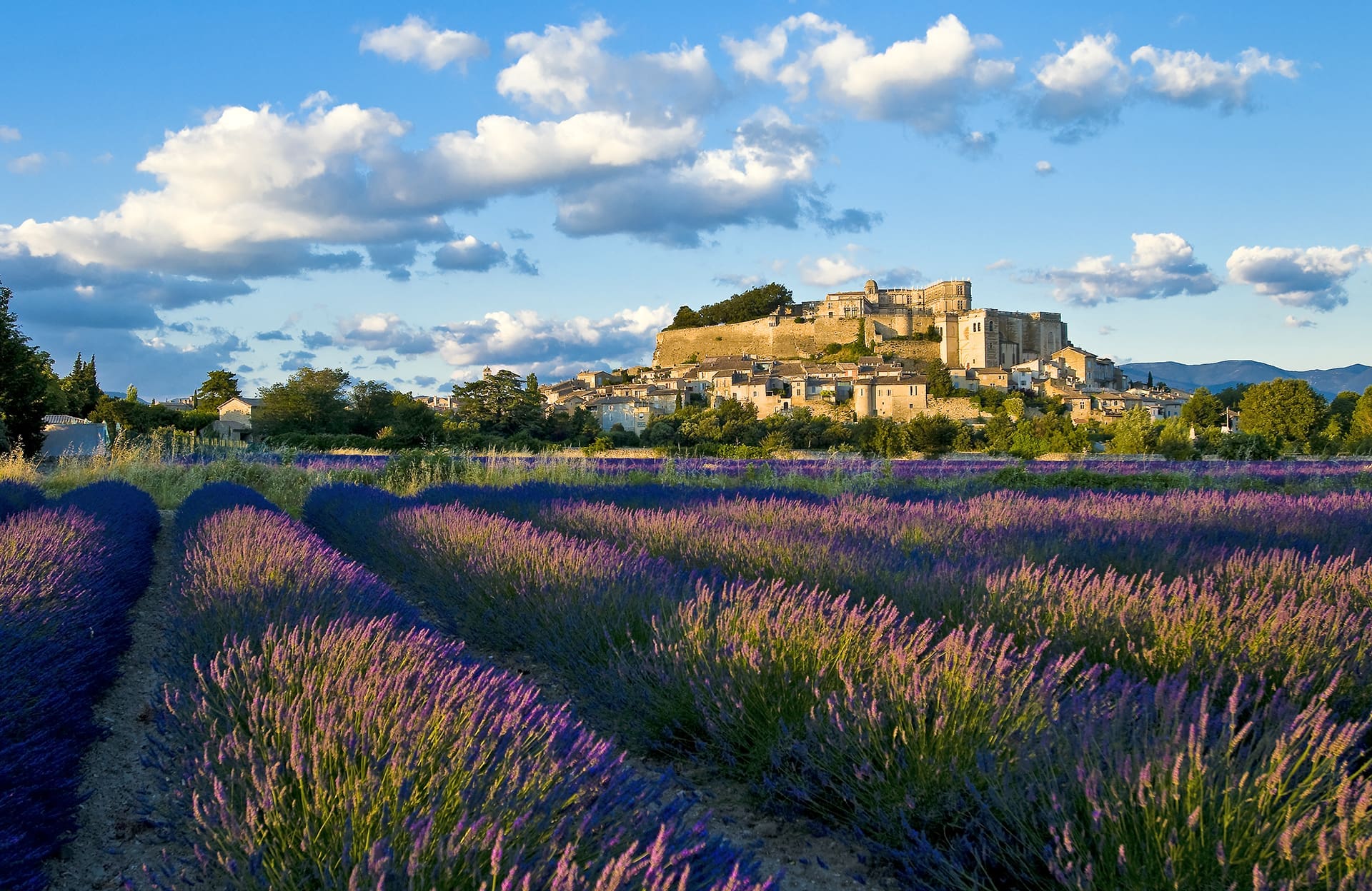 découvrez la drôme provençale : villages pittoresques, champs de lavande, marchés authentiques et paysages ensoleillés au cœur de la provence. partez à la rencontre d'une région riche en saveurs et en traditions.
