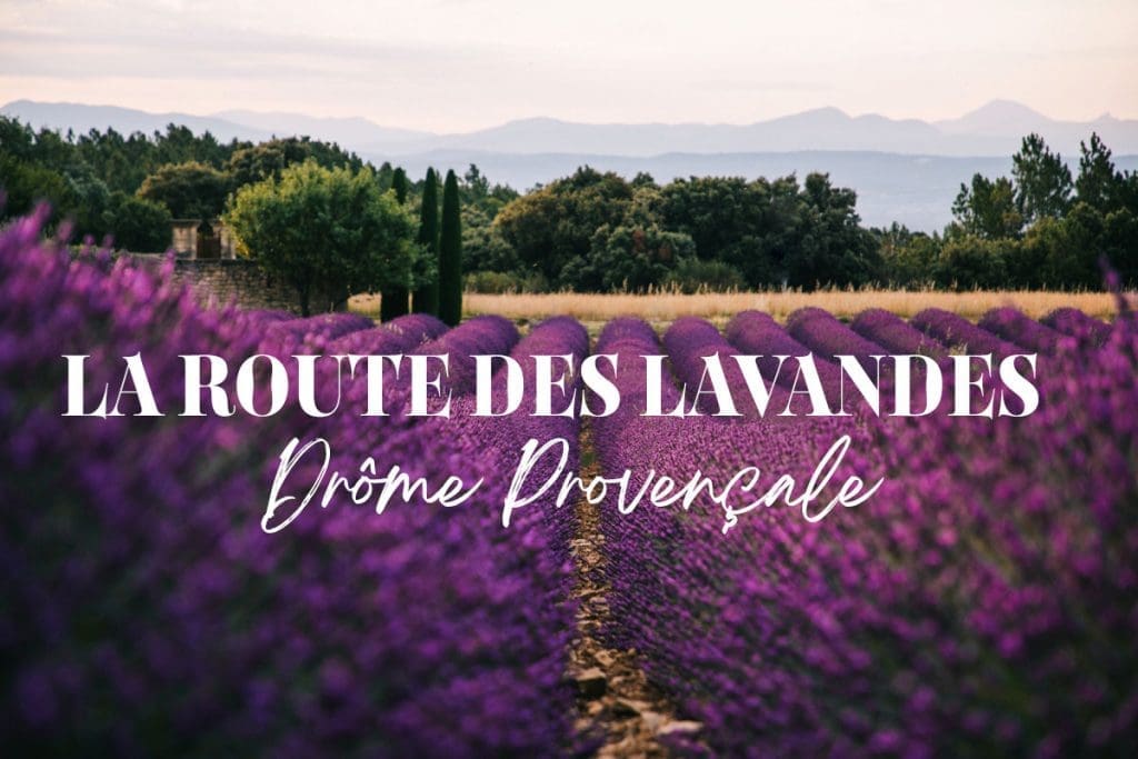découvrez la drôme provençale, une région ensoleillée au cœur de la provence : villages pittoresques, champs de lavande, marchés provençaux et paysages naturels uniques. parfait pour des vacances authentiques et gourmandes.