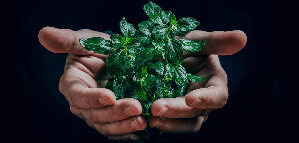 découvrez comment se déroule une évaluation lcl : objectifs, étapes clés et conseils pour bien préparer votre rendez-vous avec votre conseiller bancaire.