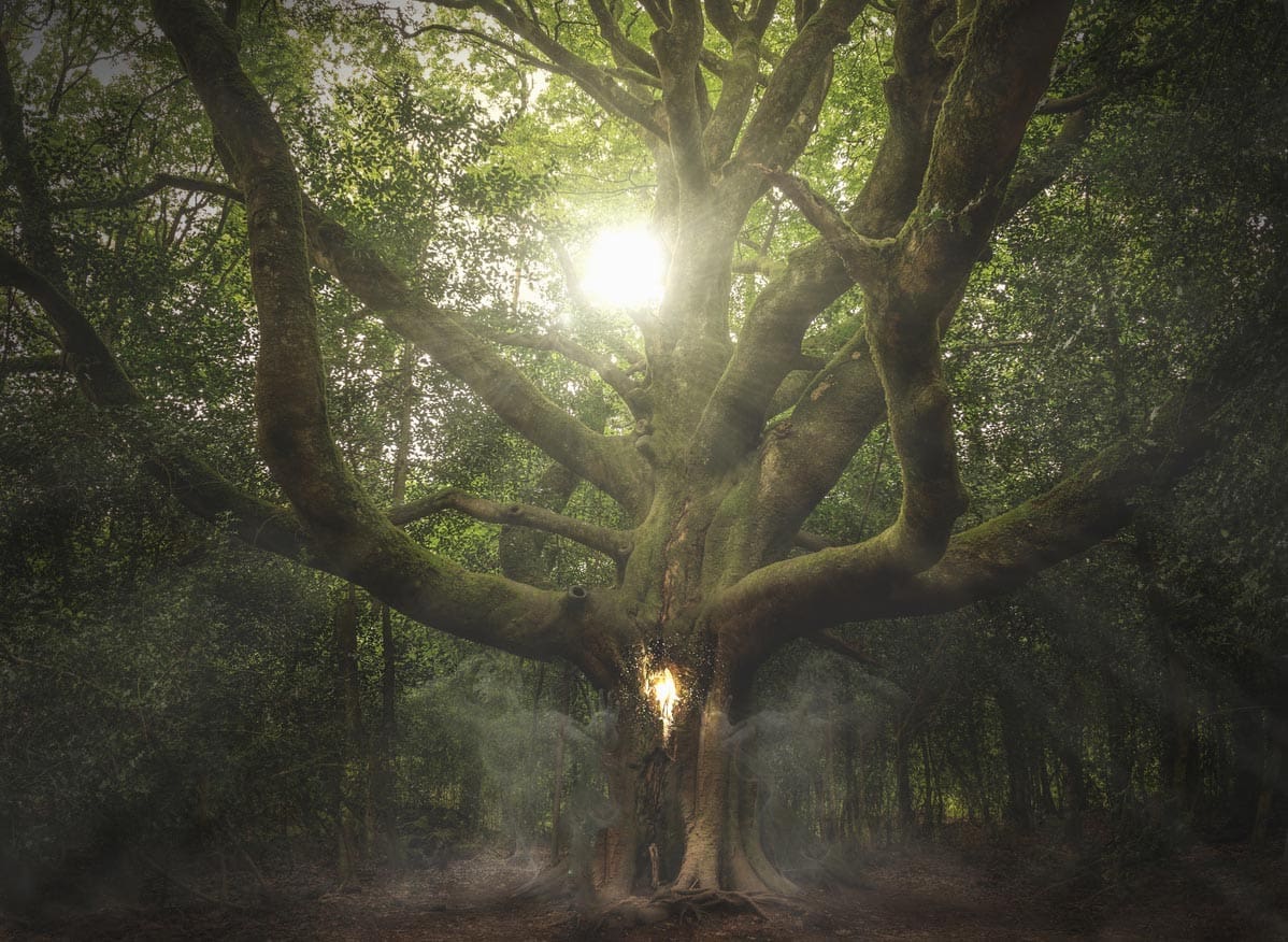 découvrez les secrets de la longévité centenaire : conseils, modes de vie et habitudes à adopter pour vivre en bonne santé au-delà de 100 ans.