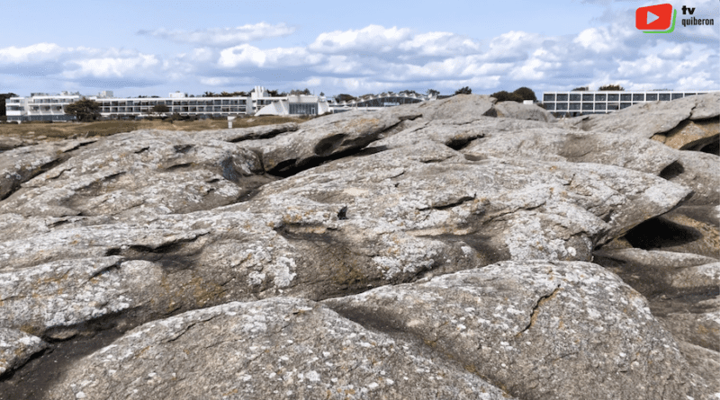 découvrez comment romy explore de nouveaux horizons et repousse les limites de la créativité. suivez son parcours inspirant vers l'innovation et la découverte.