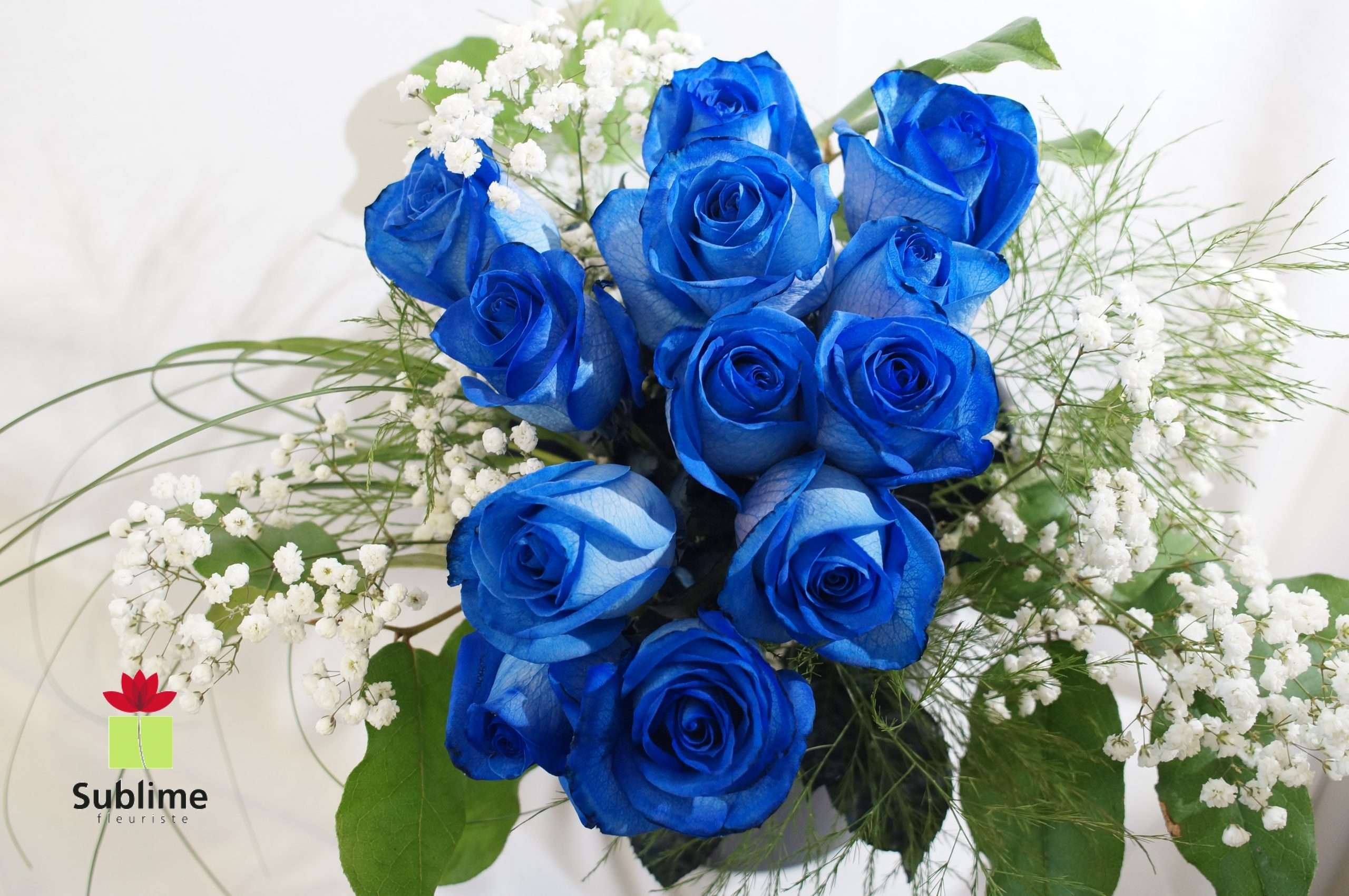 découvrez la signification et le symbolisme des roses bleues, des fleurs rares associées au mystère, à l’impossible et aux rêves inaccessibles.