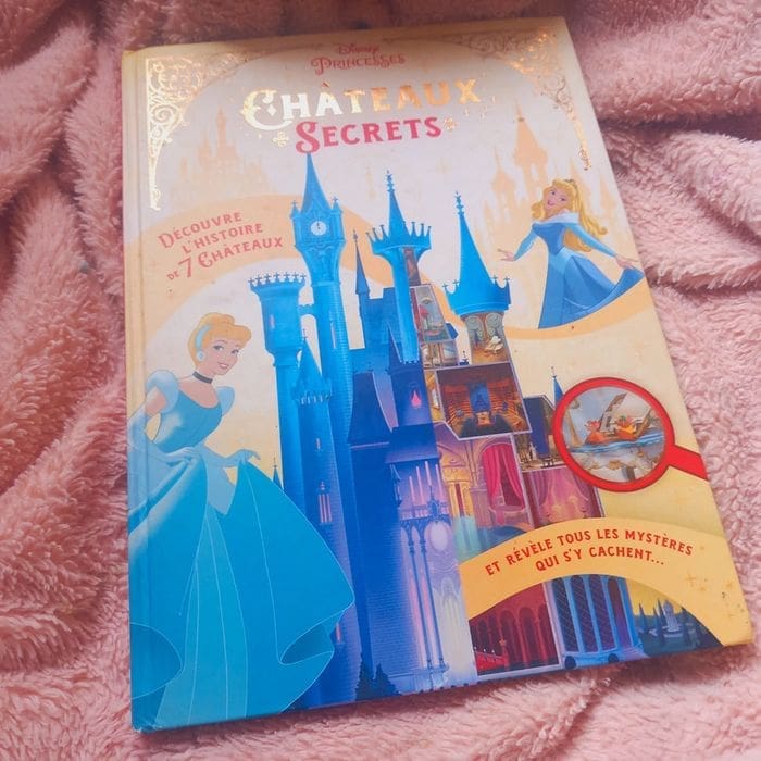 découvrez les secrets fascinants des châteaux, leurs histoires mystiques, légendes cachées et anecdotes surprenantes au cœur du patrimoine.