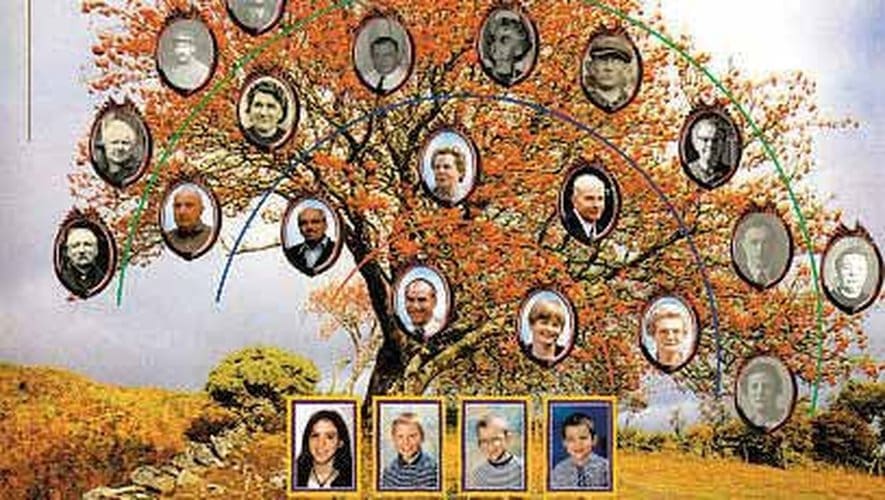 découvrez l’art de retracer l’histoire de votre famille grâce à la généalogie. explorez vos origines, créez votre arbre généalogique et plongez dans le passé pour mieux comprendre vos racines.