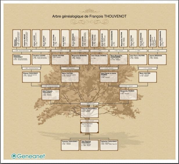 découvrez l'art de la généalogie : explorez l'histoire de votre famille, retrouvez vos ancêtres et construisez votre arbre généalogique grâce à des conseils pratiques et des ressources fiables.