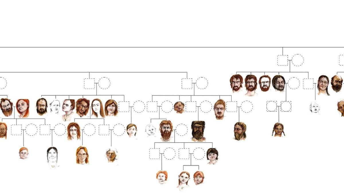 découvrez l’art de la généalogie : explorez vos racines, construisez votre arbre généalogique et retrouvez l’histoire de votre famille grâce à nos conseils et ressources dédiés.