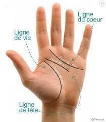découvrez la signification des lignes de la main en chiromancie : comment lire votre destin, votre personnalité et vos relations à travers la paume, avec des conseils pour interpréter la ligne de vie, de cœur et de tête.