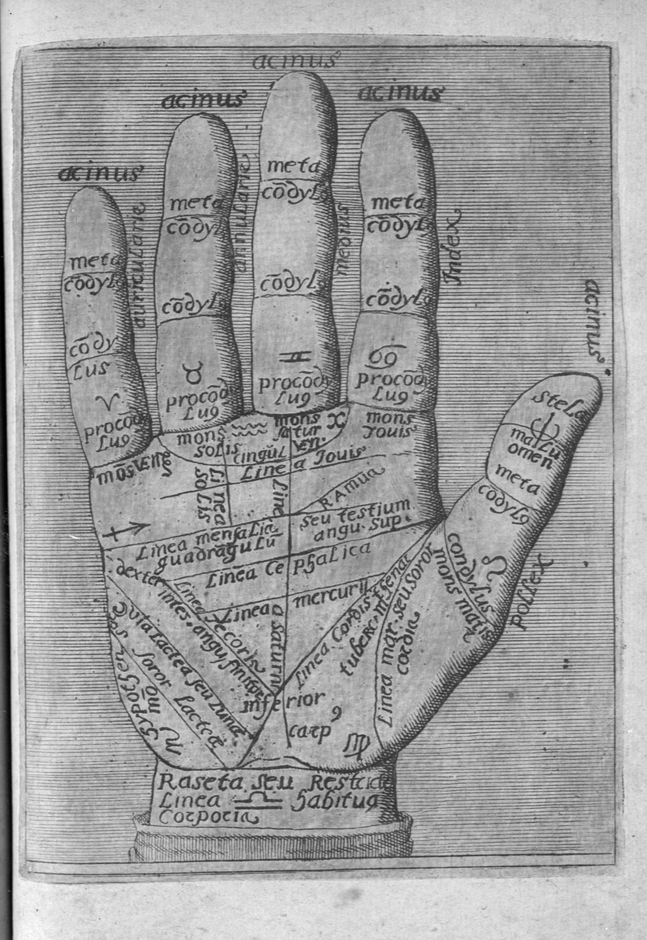 découvrez la signification des lignes de la main : interprétez votre destin, votre personnalité et votre avenir grâce à l'art de la chiromancie. conseils et explications pour comprendre la paume de votre main.