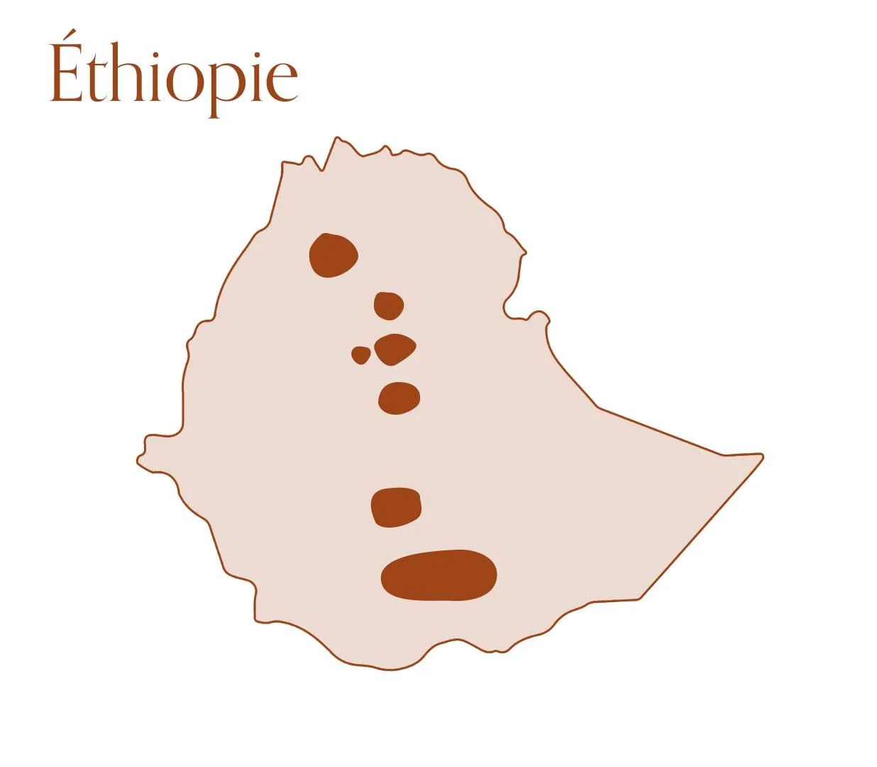 découvrez comment le loup éthiopien, espèce rare d'afrique, joue un rôle de héros méconnu dans la préservation des pollinisateurs et de l'écosystème des hauts plateaux.