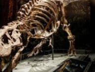 découvrez les fascinantes connexions entre les mathématiques et la formation des stalagmites : un voyage au cœur des chiffres et de la nature, où équations et géologie se rencontrent pour expliquer ces merveilles souterraines.