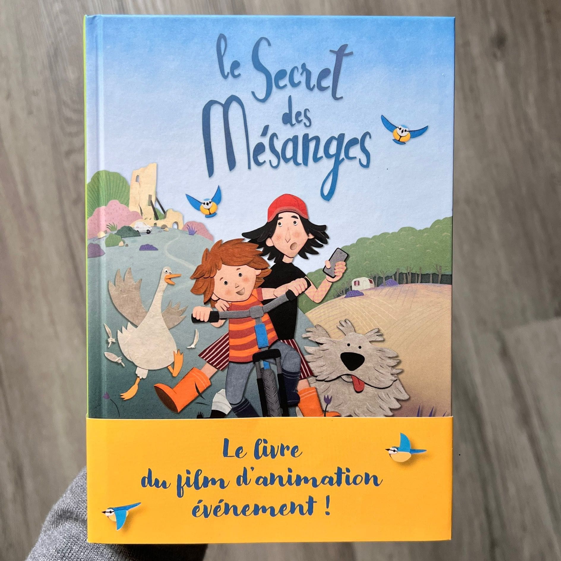 découvrez les œuvres fascinantes sur les mésanges d'antoine lanciaux : illustrations, observations et passion pour ces petits oiseaux colorés. plongez dans un univers dédié à la nature et à la beauté des mésanges.