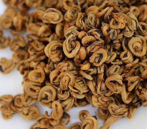 découvrez tout sur la pépite d'or à angers : histoire, anecdotes, où la trouver et comment profiter de ce trésor unique dans la région angevine.