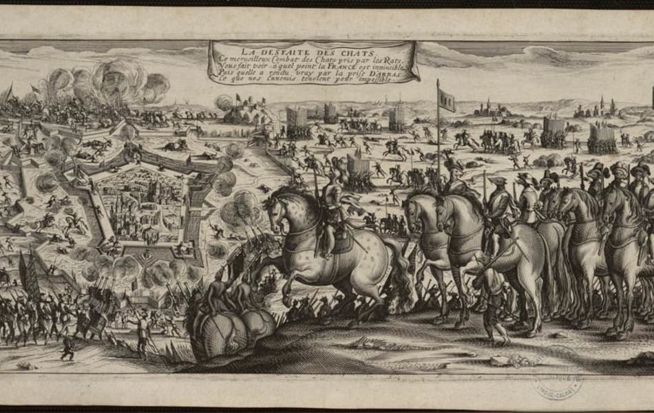 découvrez tout sur les rats invincibles : capacités impressionnantes, adaptation, résistance aux poisons et secrets de survie de ces rongeurs hors du commun.