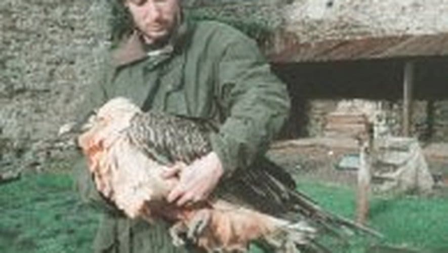 découvrez le refuge gypaète barbu, un lieu unique niché en montagne, idéal pour les amoureux de la nature et de la randonnée. profitez d’un séjour authentique entre paysages préservés et observation du célèbre gypaète barbu.