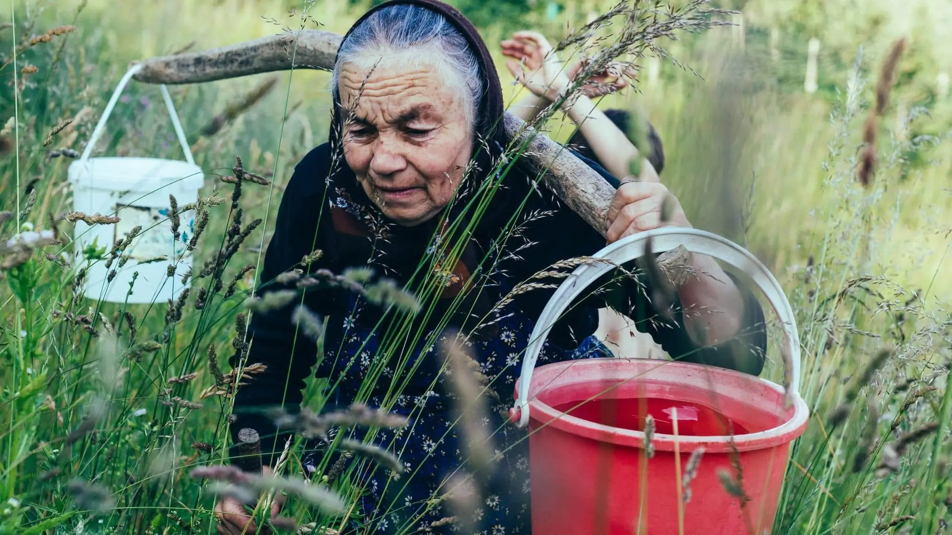 découvrez les secrets de longévité des supercentenaires : habitudes, alimentation et modes de vie de celles et ceux qui vivent au-delà de 110 ans. explorez leurs conseils pour vieillir en pleine santé.