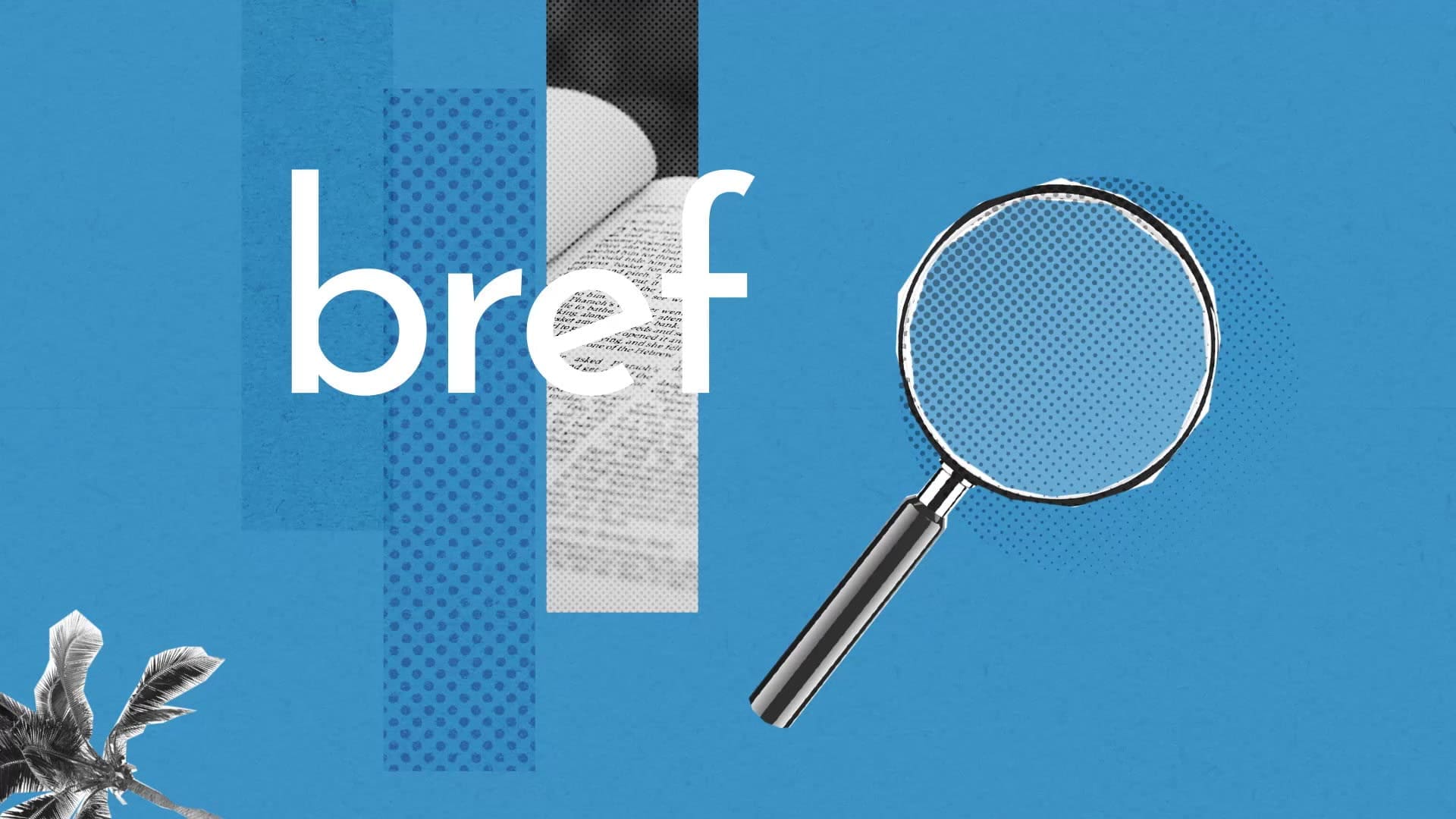 découvrez la signification de l’acronyme b.r.e.f et son utilisation dans la langue française au quotidien. explications simples et exemples concrets.