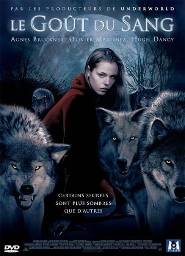 découvrez comment un roman devient un film : les étapes de la transformation, les défis de l’adaptation et les secrets du passage de l’écrit à l’écran.