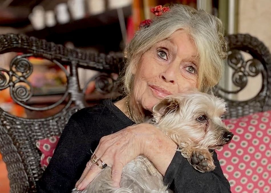 découvrez le bilan santé complet de brigitte bardot, son parcours et son état actuel dans cette analyse détaillée.