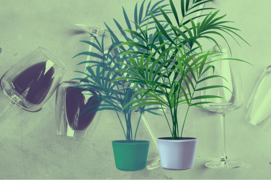 découvrez comment le vin influence la croissance et la santé des plantes, ses effets positifs et négatifs sur leur développement.