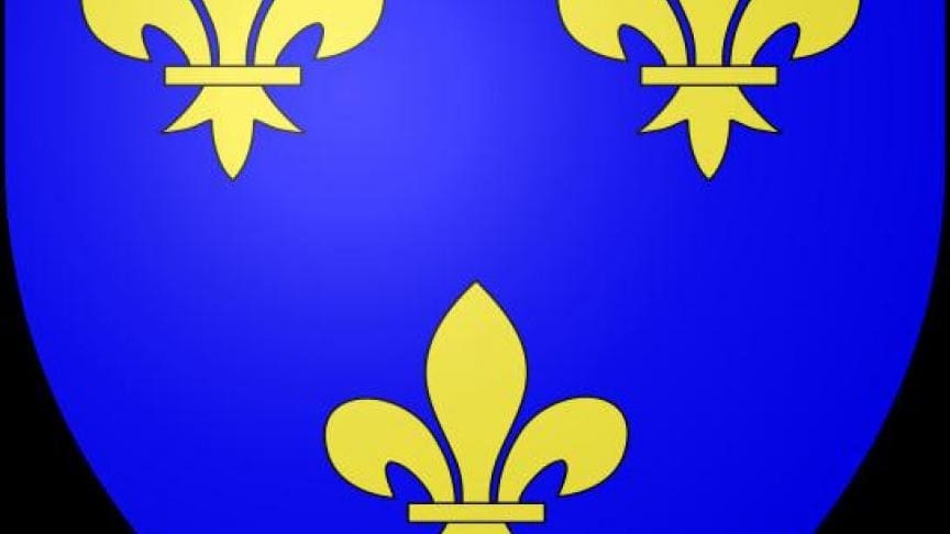 découvrez le symbolisme riche et historique de la fleur de lys, emblème de royauté, pureté et tradition en france.