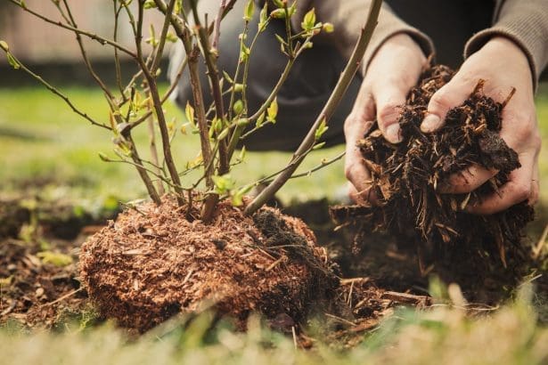 découvrez les secrets du compost pour le jardinage en hiver et transformez vos déchets en un trésor naturel pour nourrir vos plantes toute la saison.