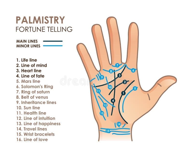 découvrez la signification de la ligne de main en chiromancie et apprenez à interpréter les messages que votre paume révèle sur votre personnalité, votre avenir et votre destinée.