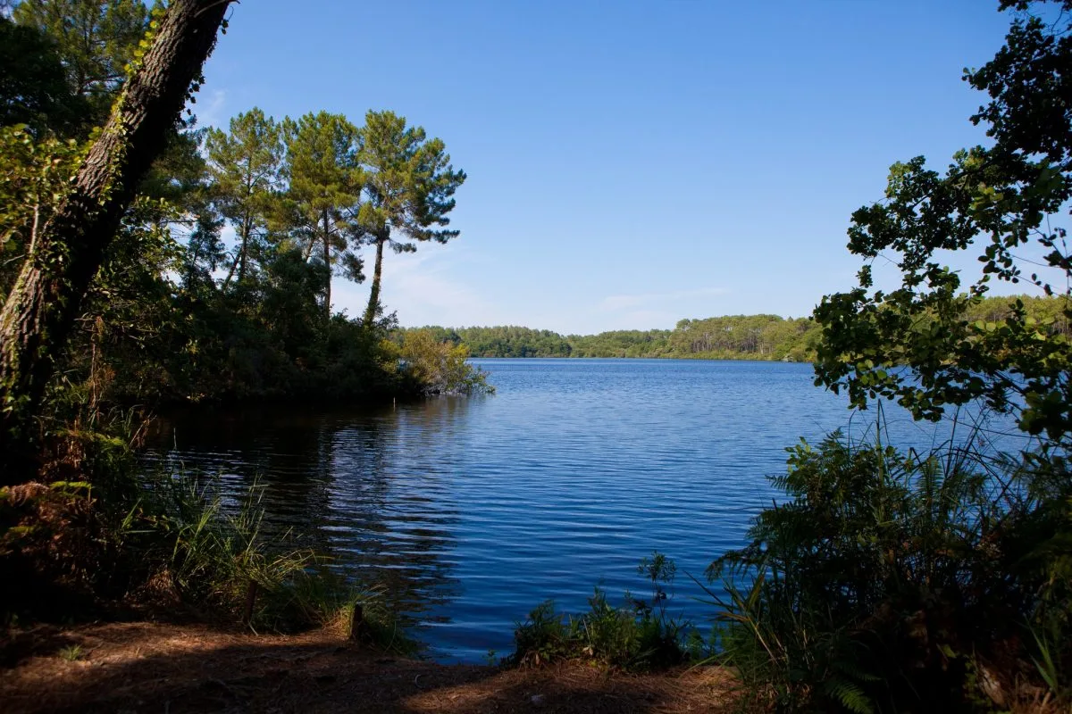 découvrez moliets-et-maa, un charmant village niché entre forêt et océan, idéal pour des vacances nature et détente au cœur des landes.