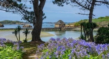 découvrez la perle cachée de la côte varoise, une destination authentique et abordable loin des foules touristiques.
