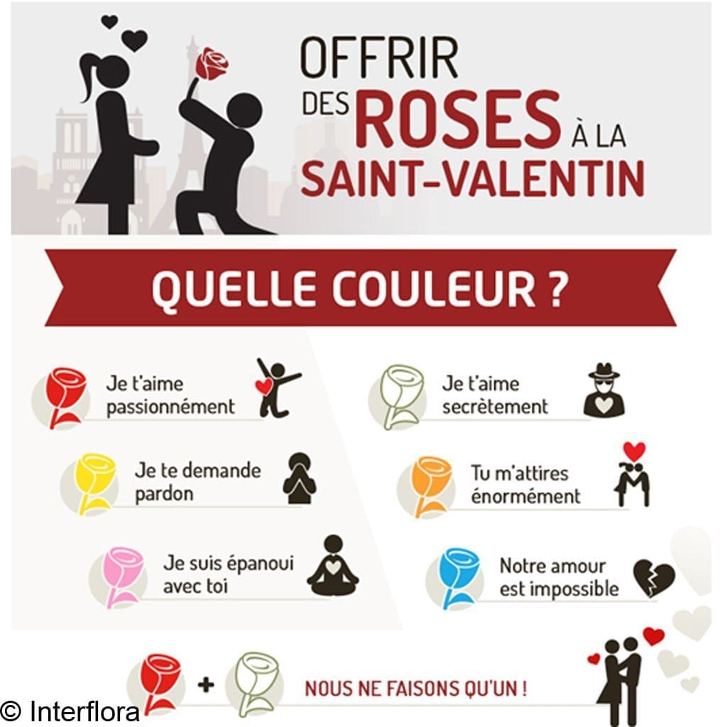 découvrez la signification des nombres roses et leur symbolique associée aux fleurs, pour mieux comprendre leurs messages et émotions.