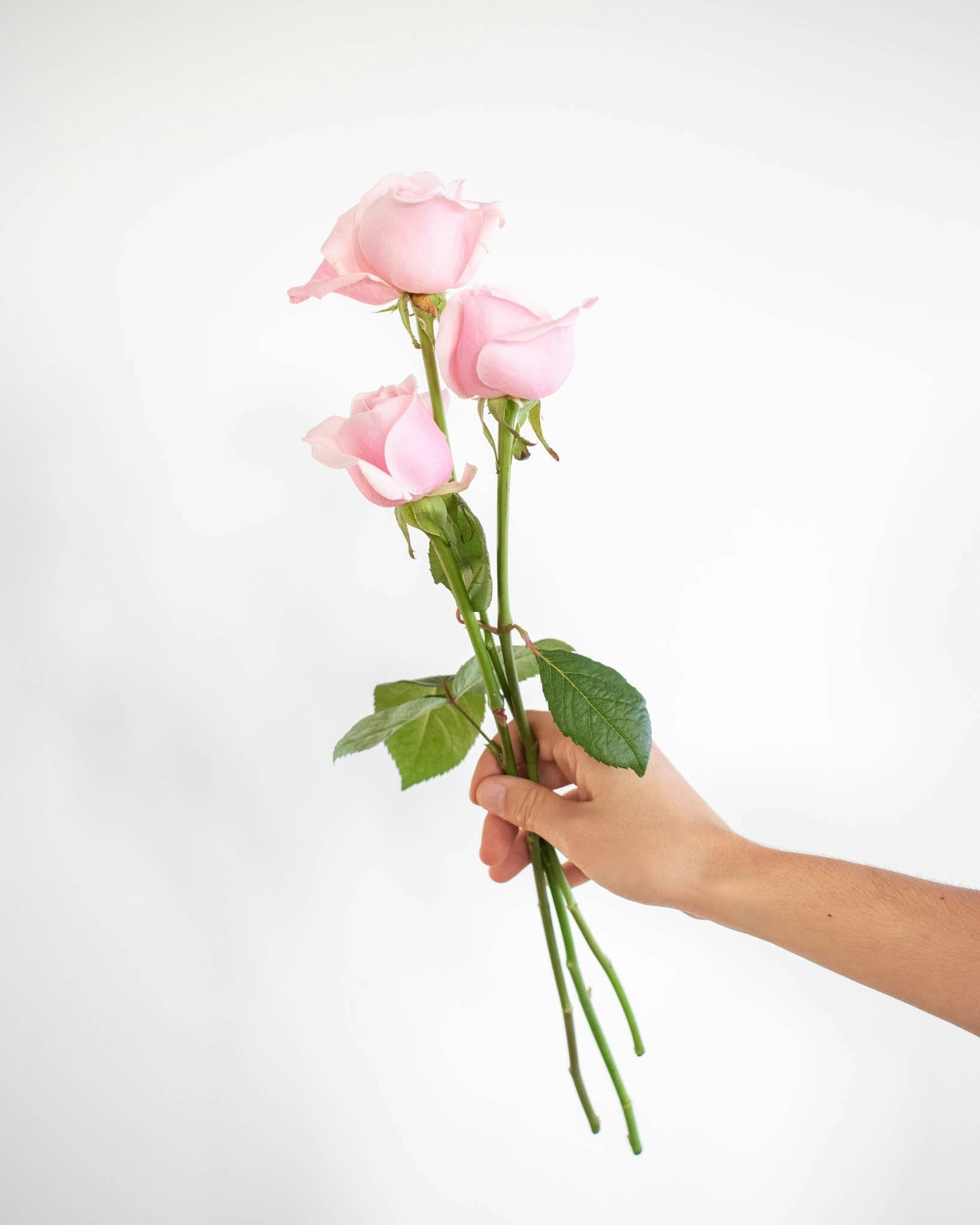 découvrez la signification des nombres associés aux roses et aux fleurs, et apprenez comment ces symboles influencent leur langage et leur symbolique.