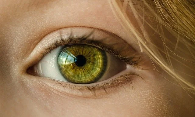 découvrez ce que vos yeux révèlent sur votre état de santé général et comment repérer les signaux d'alerte pour mieux prendre soin de vous.