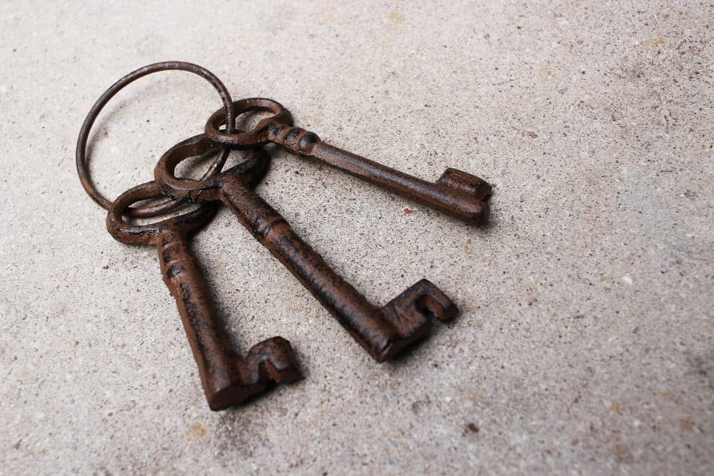 découvrez les clés du bonheur pour hommes et femmes et apprenez à cultiver la joie, l'épanouissement et l'harmonie dans votre vie quotidienne.