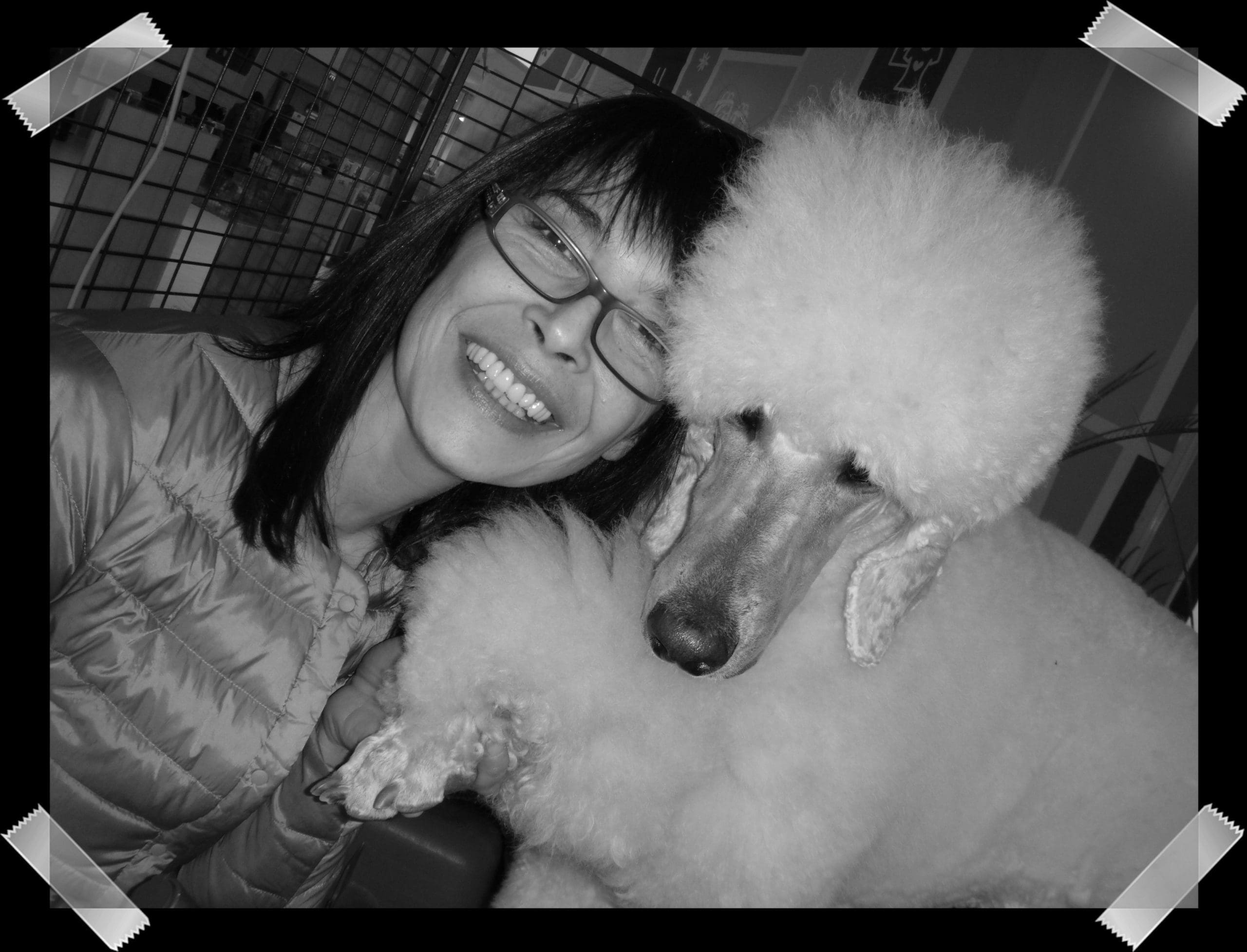 découvrez l'école championne en toilettage animalier, formant des experts passionnés pour prendre soin de vos animaux avec professionnalisme et bienveillance.