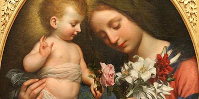 découvrez l'histoire fascinante et la signification symbolique de la fleur de lys, un emblème riche en patrimoine et en traditions.