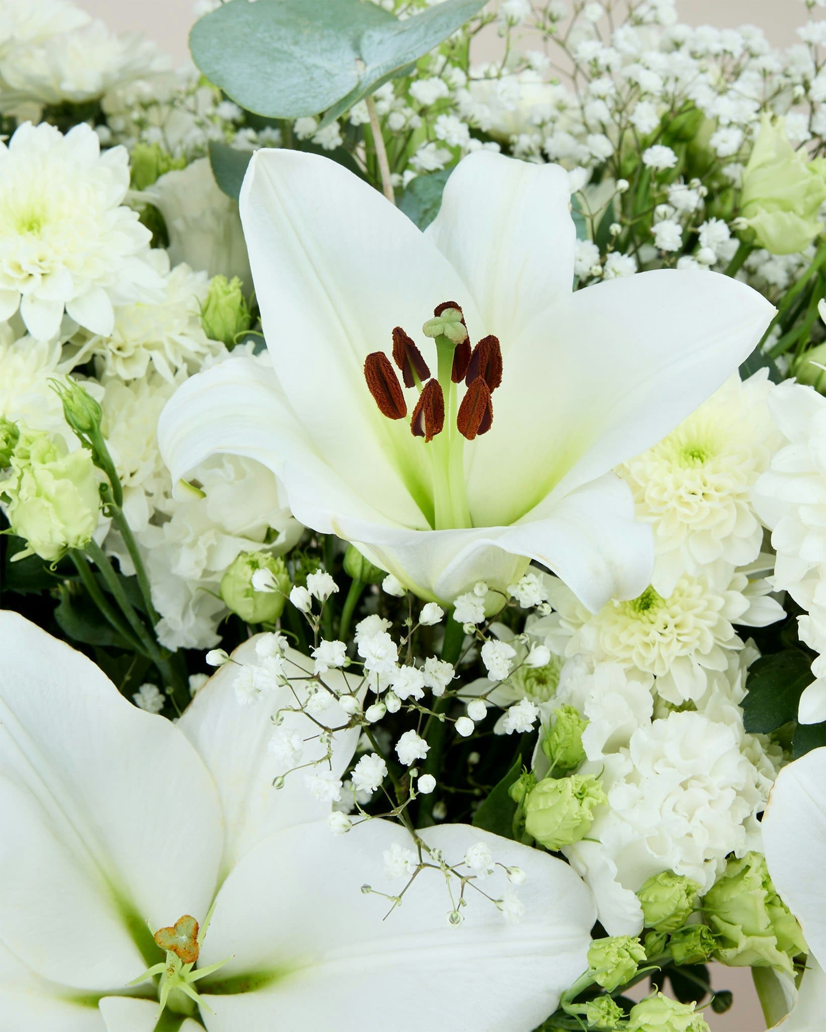 découvrez l'histoire fascinante et la signification profonde de la fleur de lys, emblème royal et symbole chargé de traditions.
