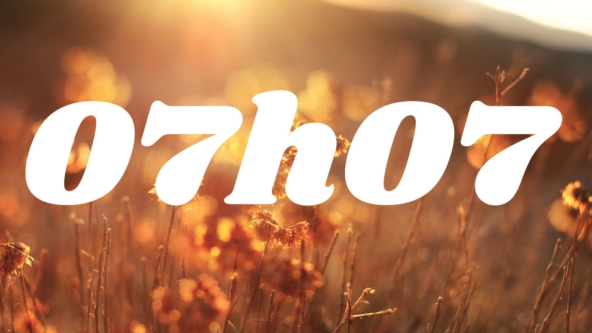 découvrez la signification de l'heure miroir 07h07 et son message secret lié à l'amour, la chance et la synchronicité.